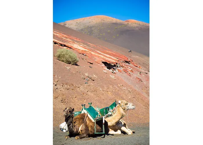 Caletas * Teguise (Lanzarote)